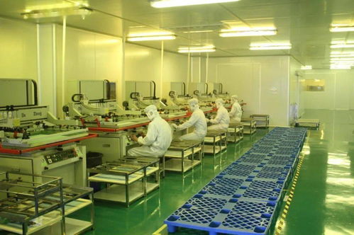 中共湛江市委十一屆十次全會(huì)工作報(bào)告要點(diǎn) 深化人力資源服務(wù)，規(guī)范職業(yè)中介活動(dòng)，賦能高質(zhì)量發(fā)展