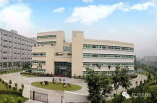 醫藥科技領域獲機構重點關注個股解析 創新驅動下的投資新機遇